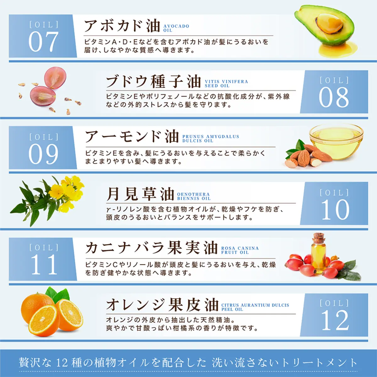 植物オイル詳細