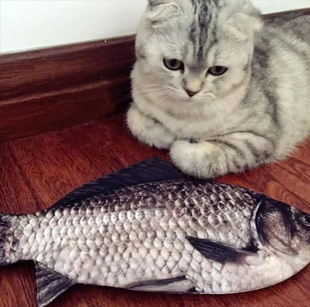 魚型ペンケース 日常使いシーン 本の横に置いた様子