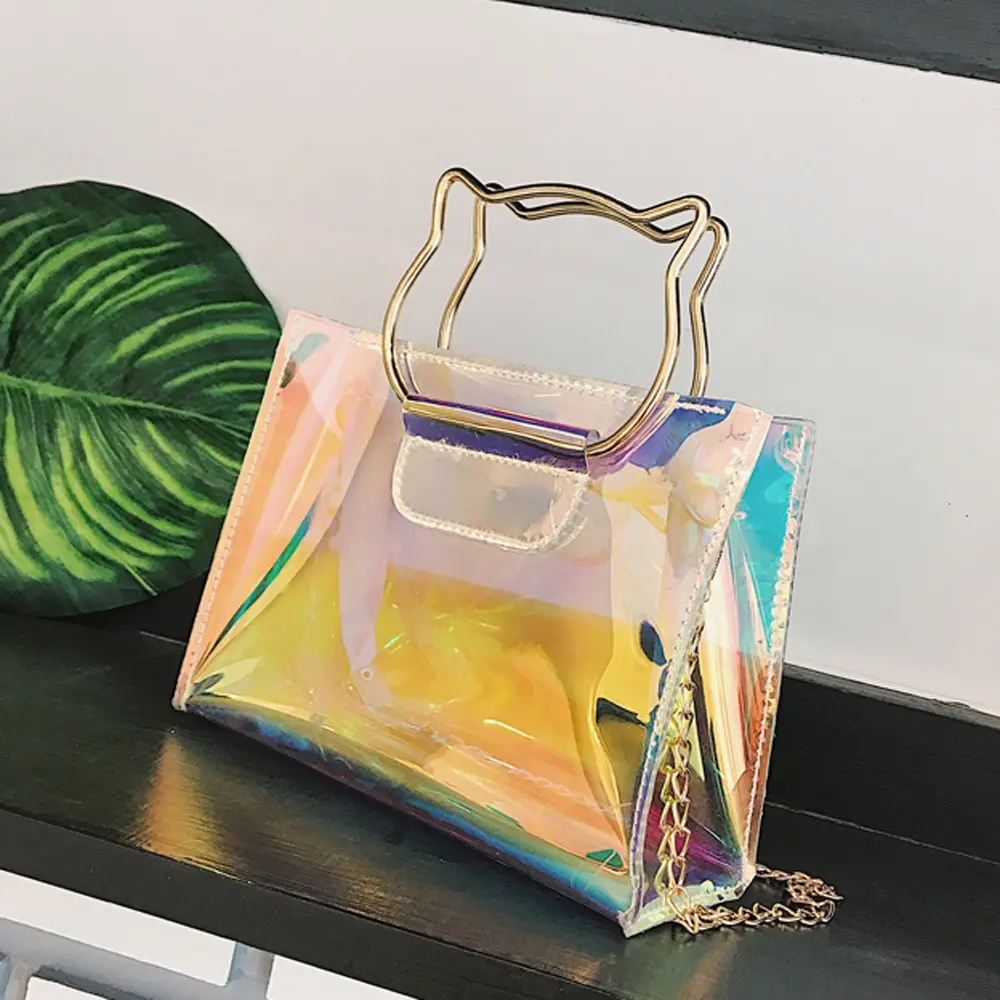 オーロラクリアバッグ 置き画