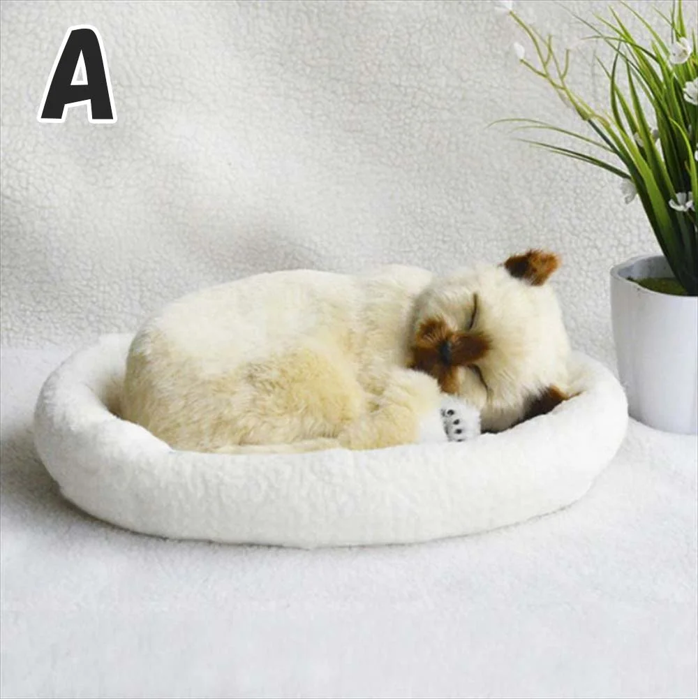 タイプA シャム系