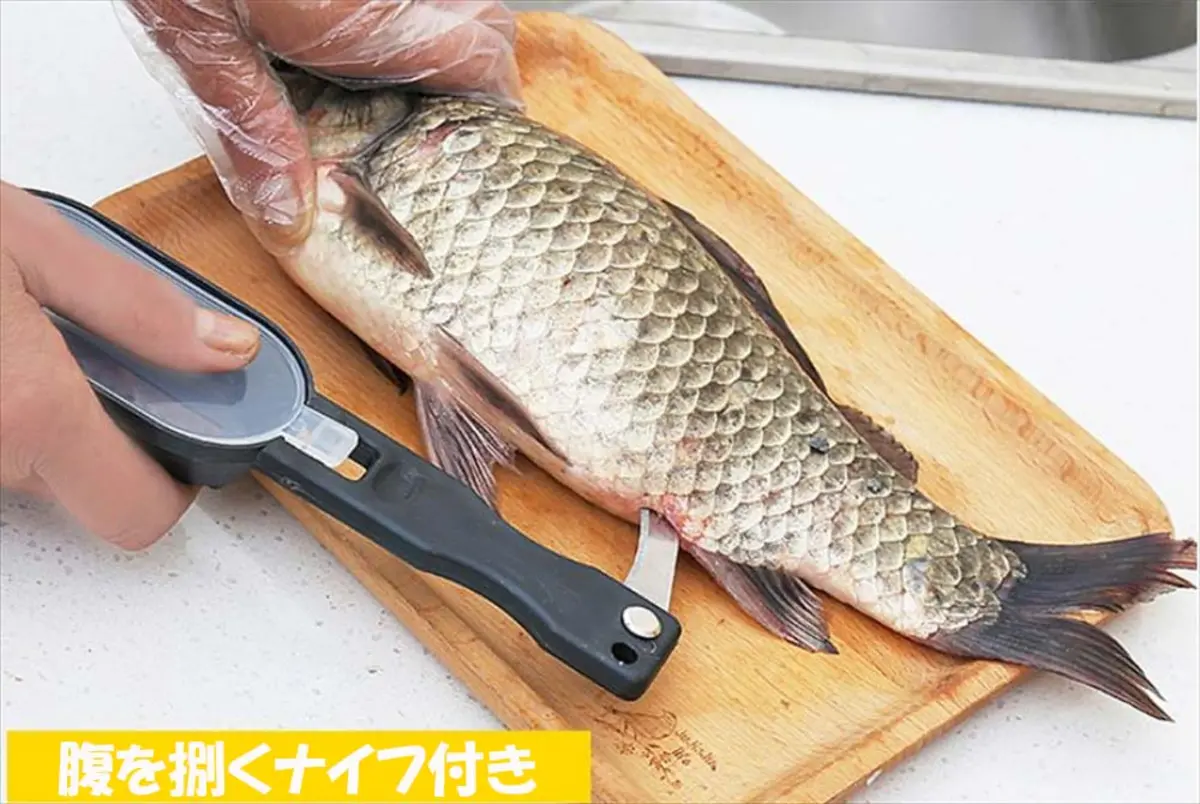 魚のウロコを取る様子