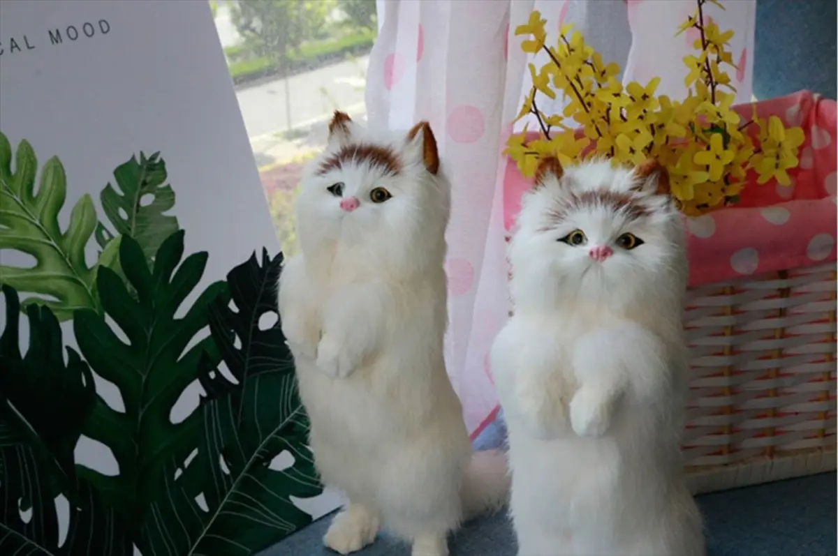 立ち姿の美しさ