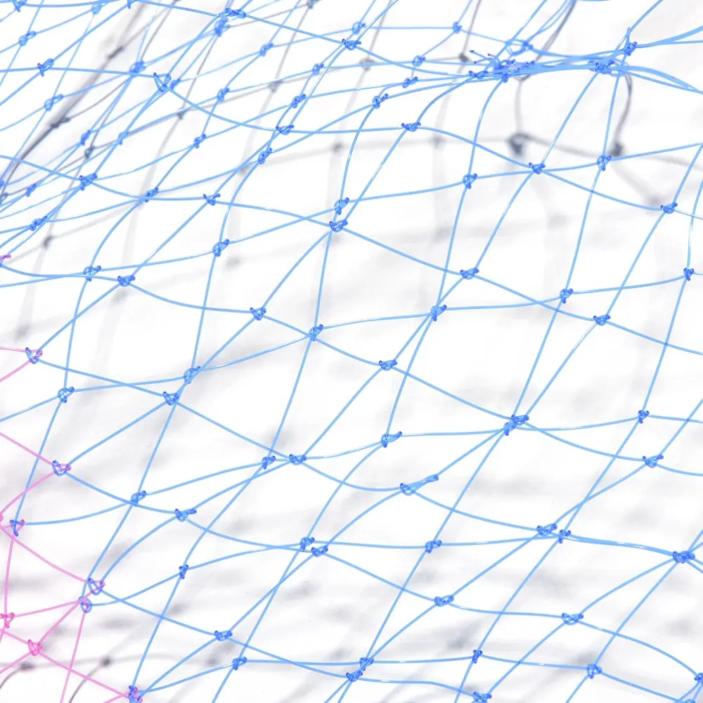 ネットの細部構造