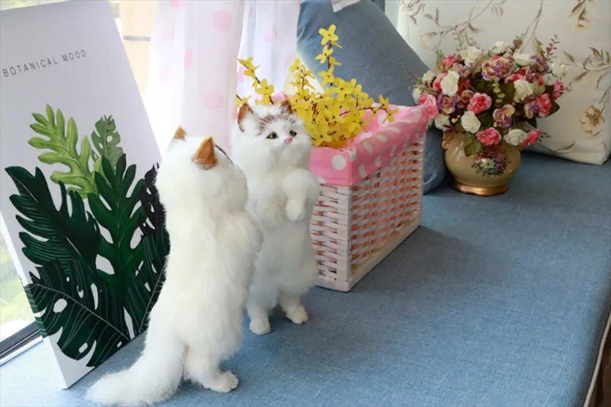 三毛猫の色合い