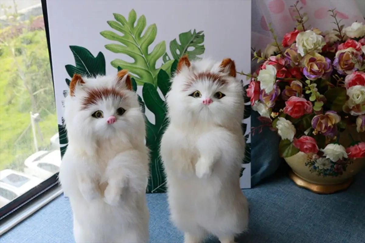 寝室でのリラックス