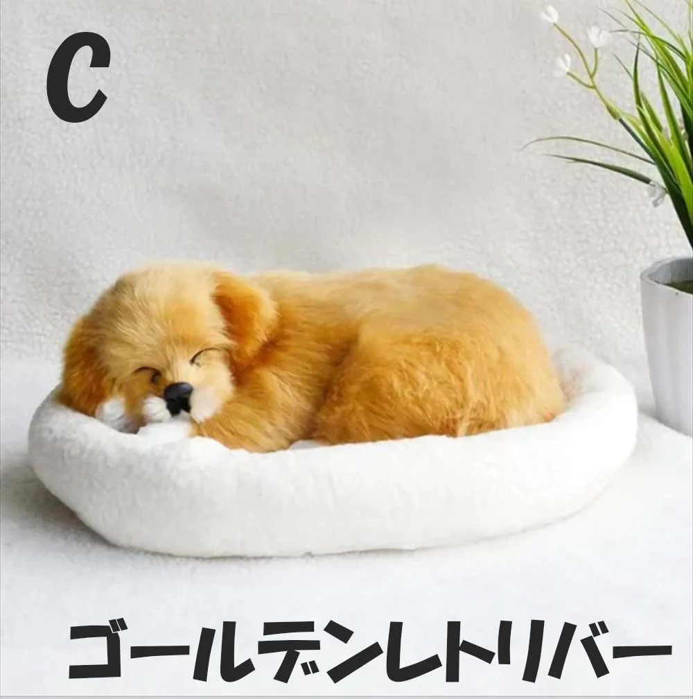 ゴールデンレトリバー