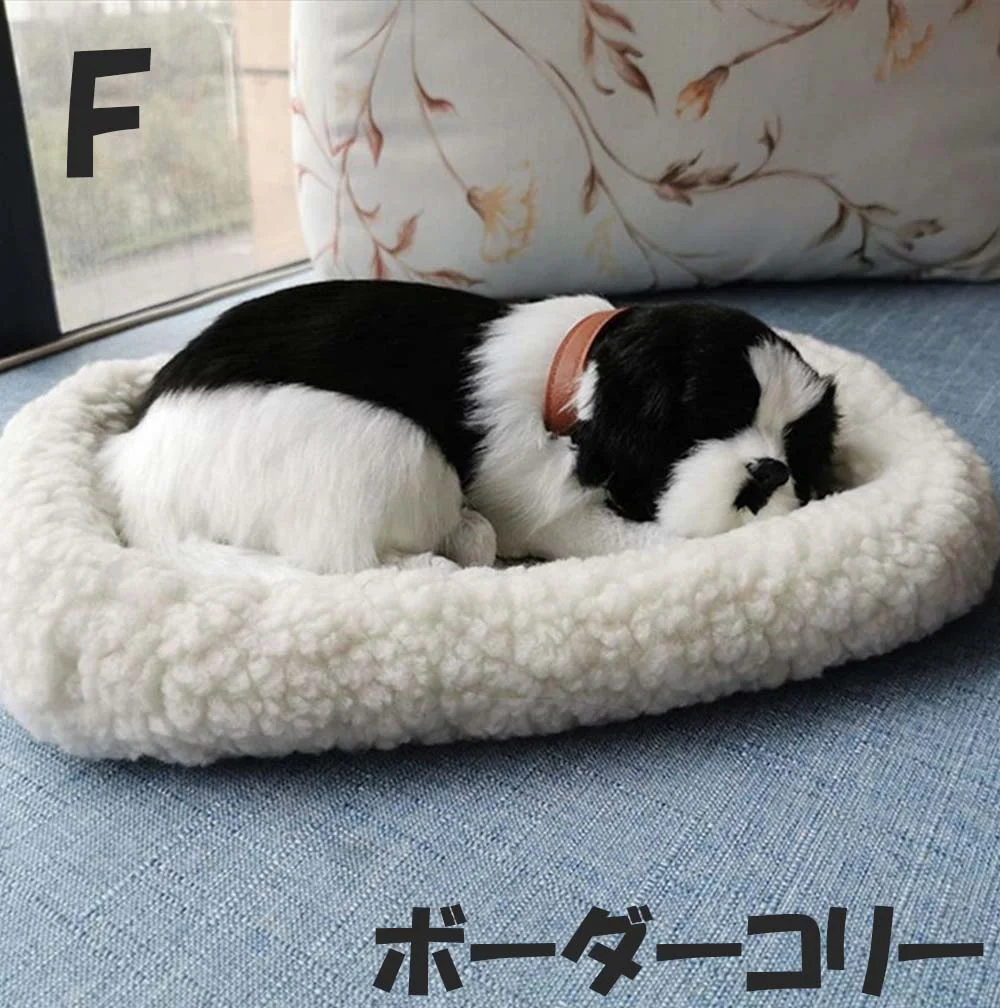 ボーダーコリー