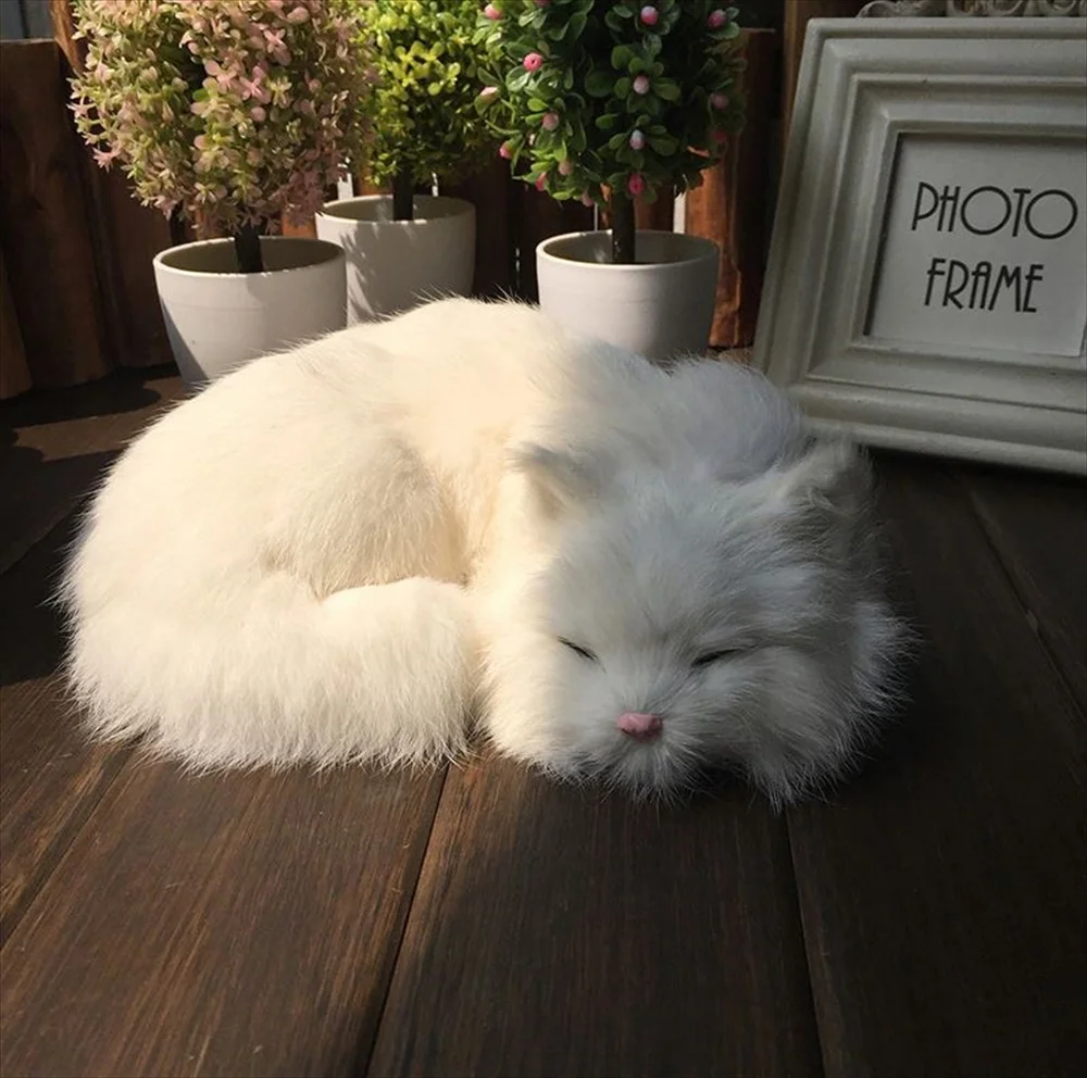 商品パッケージ