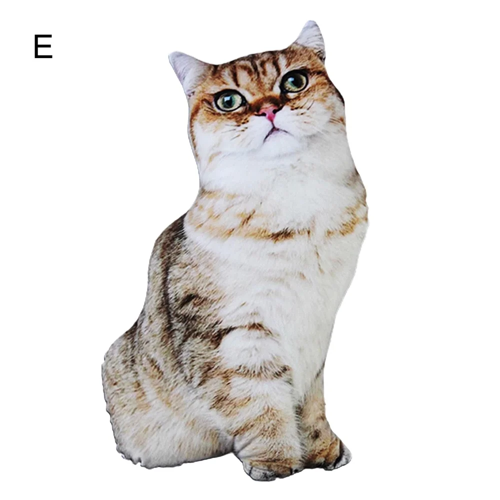 Eタイプ 茶トラ猫・座りポーズ