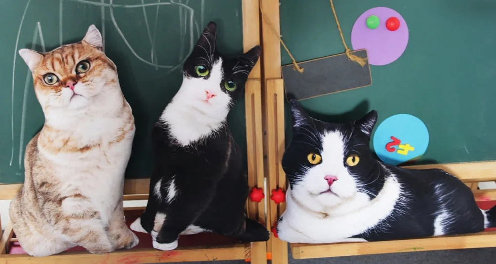 猫クッションを使ったシーンイメージ