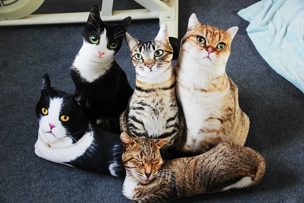 リアル猫クッション 複数バリエーション一覧