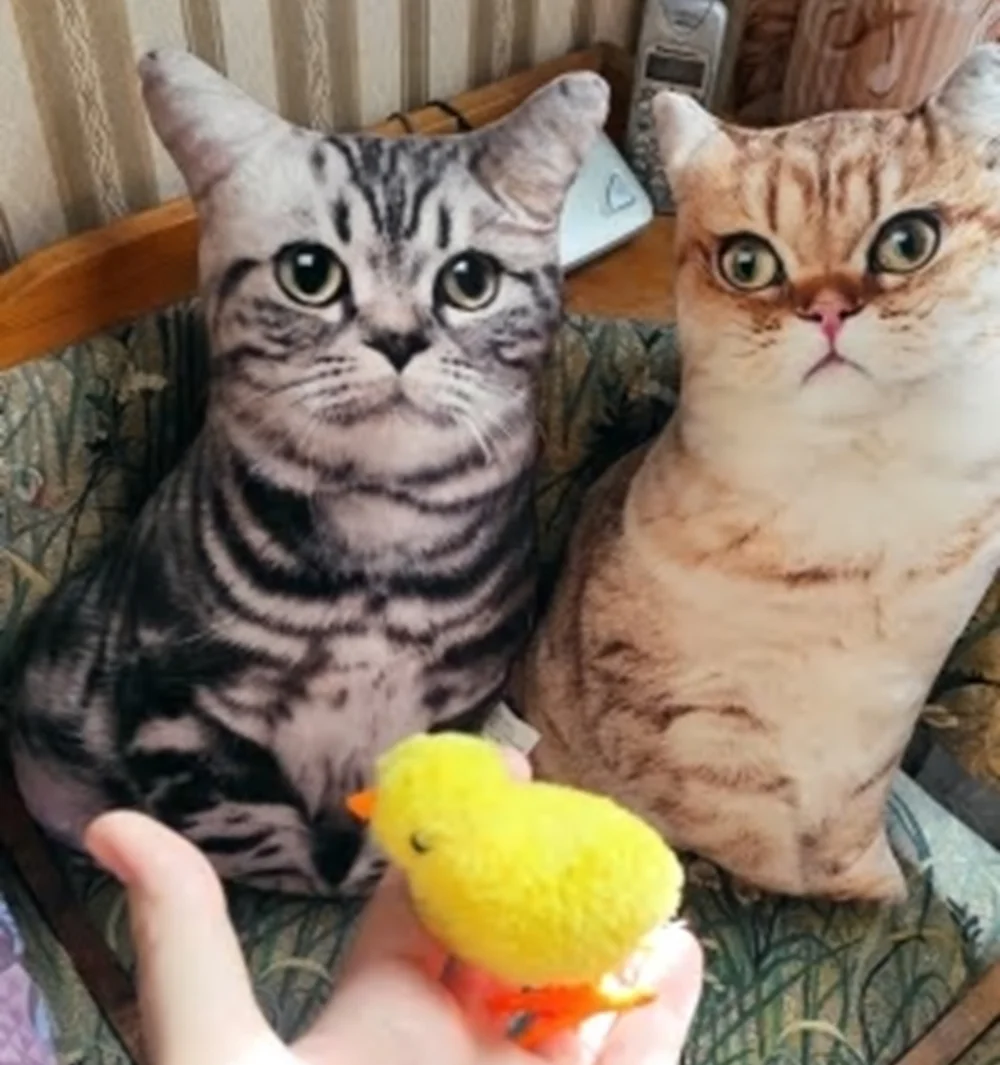 猫クッション ユーザー使用イメージ