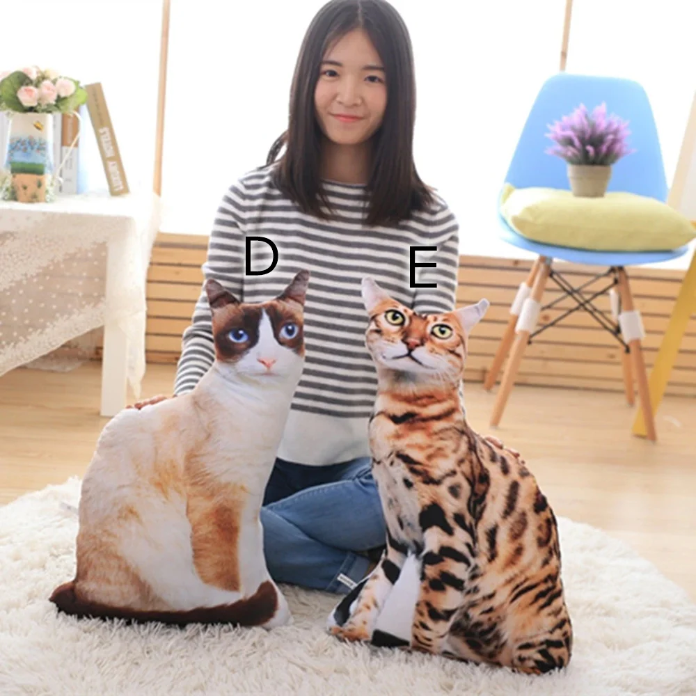 バリエーションD E