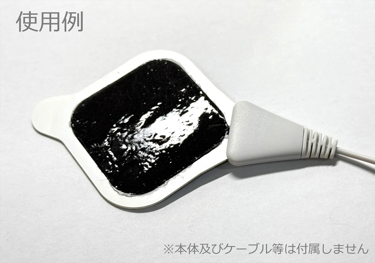 使用例（本体及びケーブル等は付属しません）