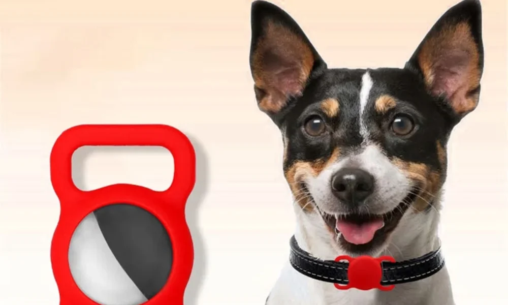 猫好き必見！おすすめ猫グッズ5選｜おしゃれ＆実用アイテム厳選まとめ