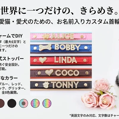 猫と暮らすペットグッズ3選｜迷子防止ケース・名入れ首輪・食事マットを比較
